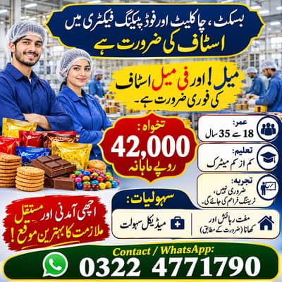Biscuit, Chocolate & Food Packing Factory job | All Factory Jobs Lahor