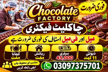 Chocolate Factory Jobs | Male & Female | Factory packing jobs Lahore