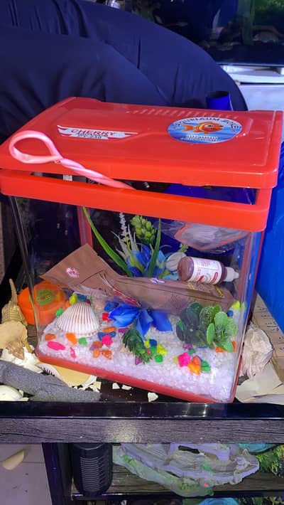 Brand New Important Aquarium For Sale