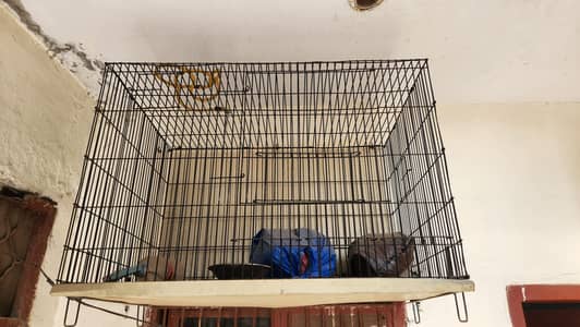 raw and gray parrot cage for sale look like a brand new 03104864807