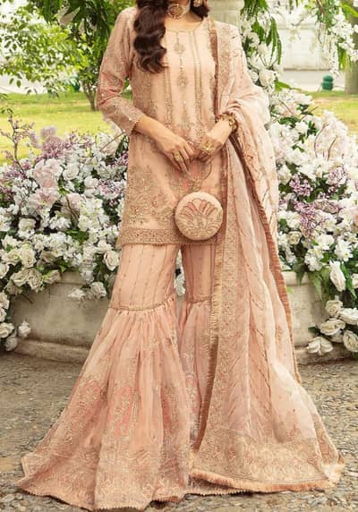 Peach Embroided Chiffon Dress / Luxury Party Wear