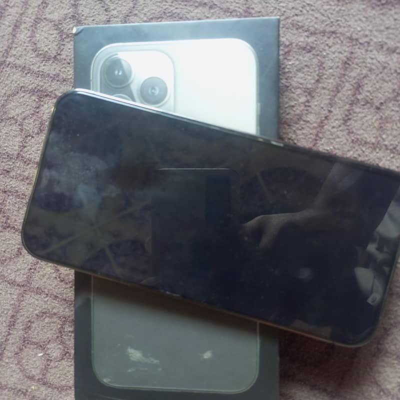 Apple iPhone 13 Pro Max 0