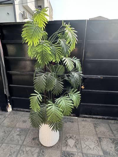 Artificial Decorative Plants with Premium White Pots – Set of 2