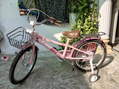 girls bicycle 20 inch