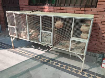 Bird Cage | used