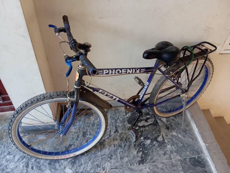 phoenix bicycle 0