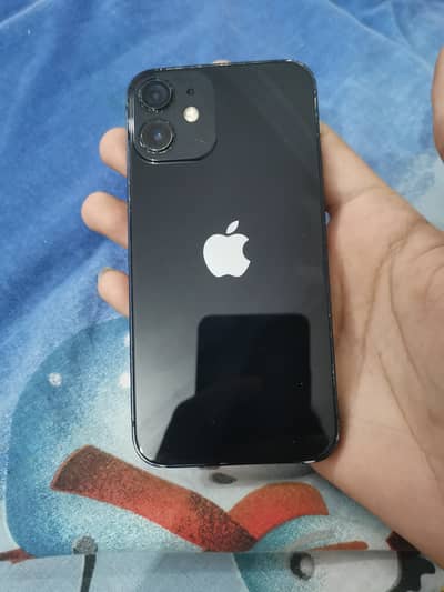 I phone 12 mini