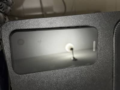 Apple iPhone 16 Pro
