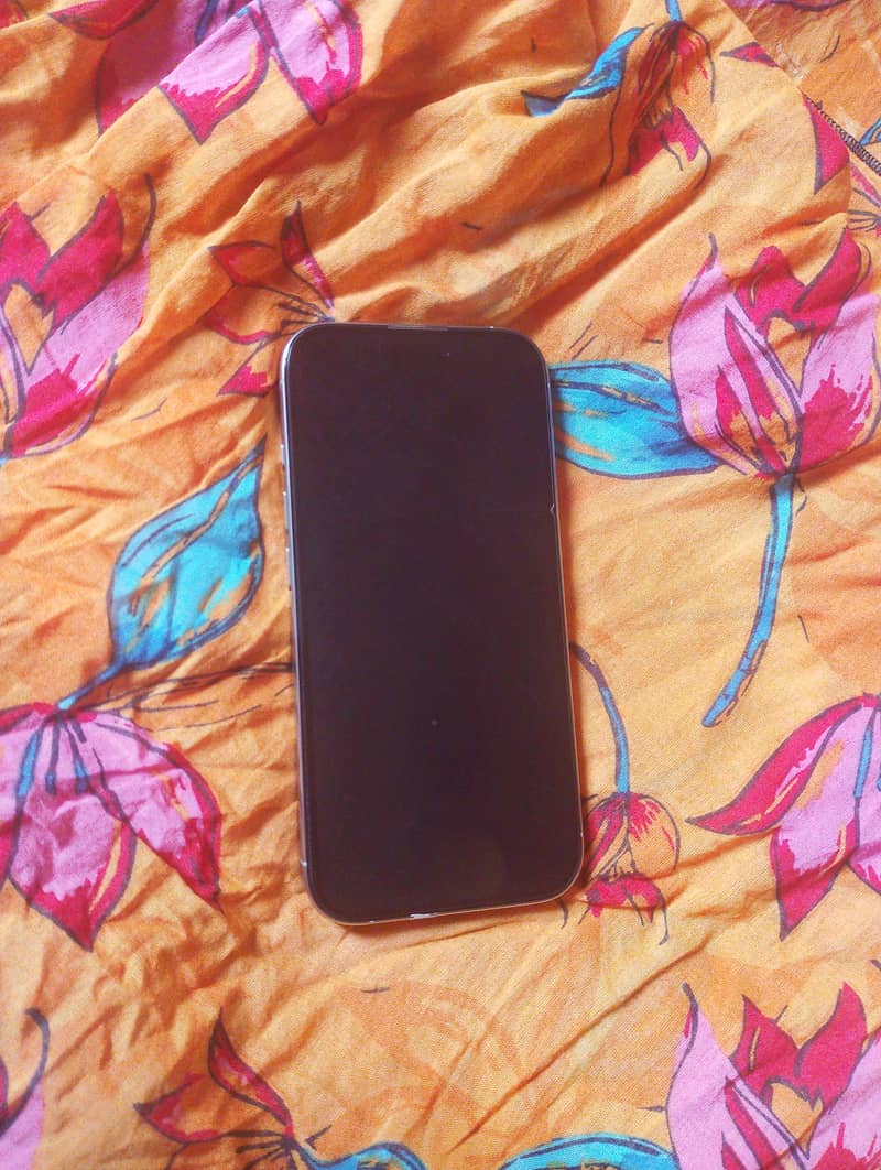 Apple iPhone 16 Pro 1