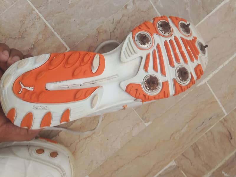 cricket puma spikes 0