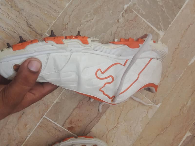 cricket puma spikes 4