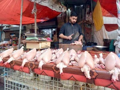 Chiken Butcher / قصائی چکن
