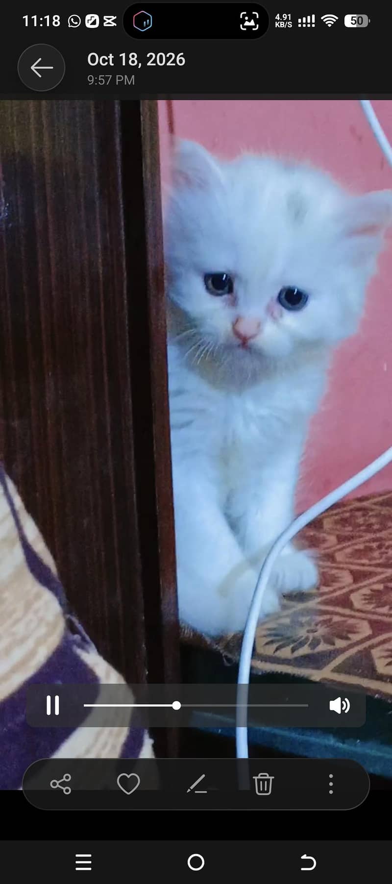white 0