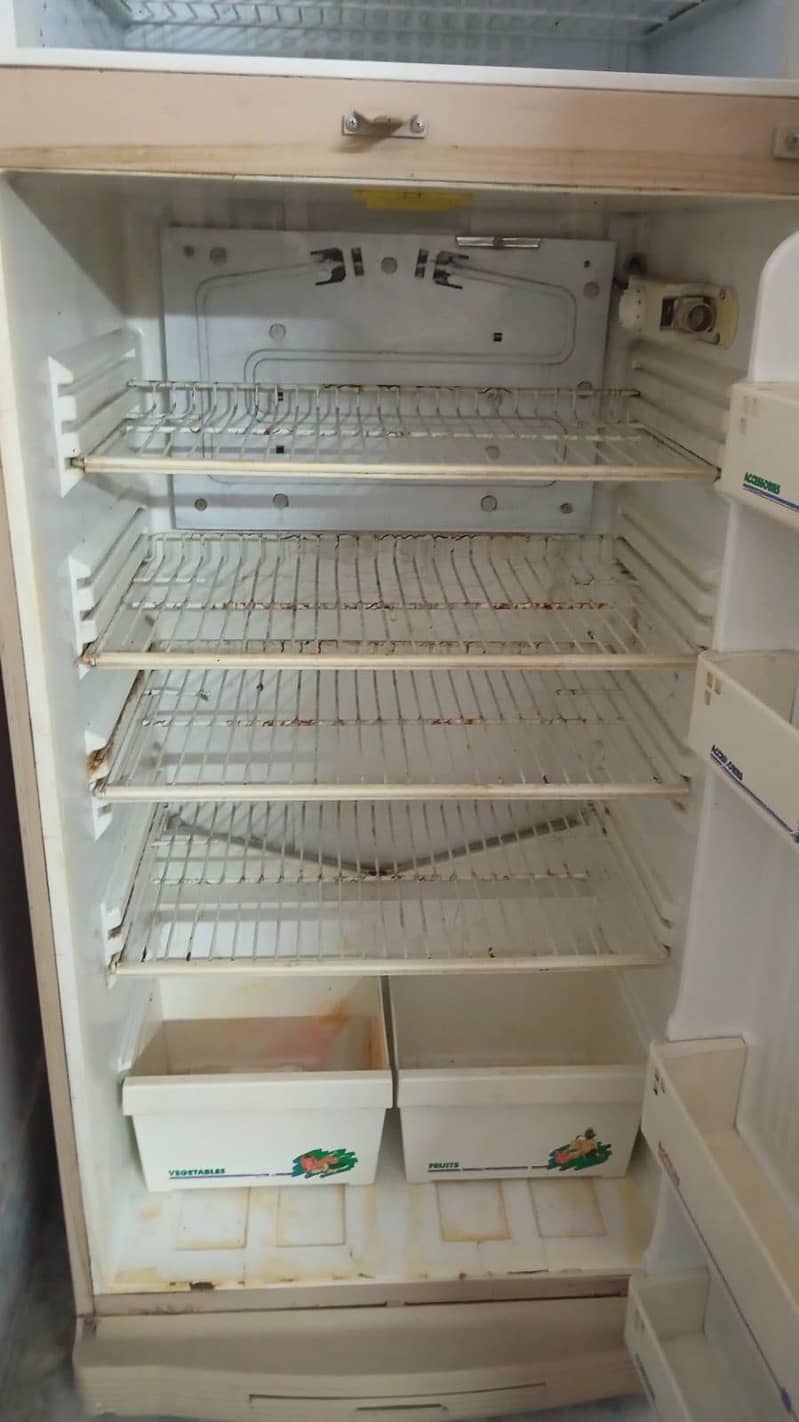 PEL fridge medium size 3