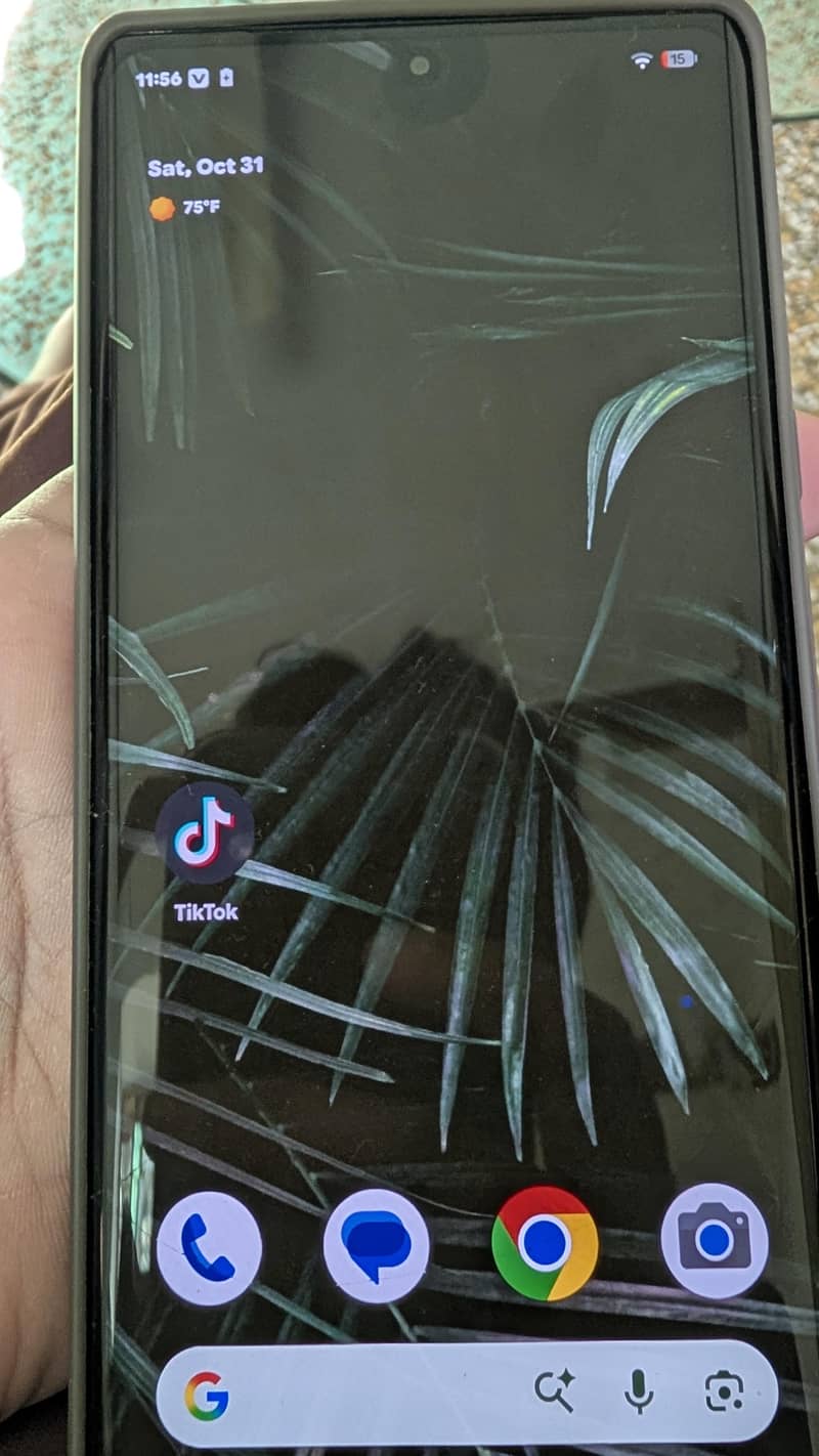 Google Pixel 6 Pro 5