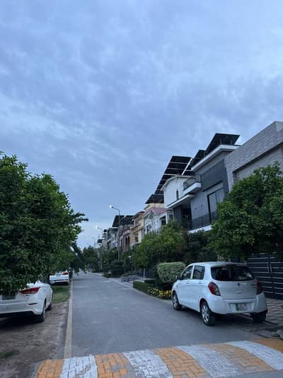 TULIP EXT HOT LOCATION PLOT 5 MARLA BETWEEN HOUSES