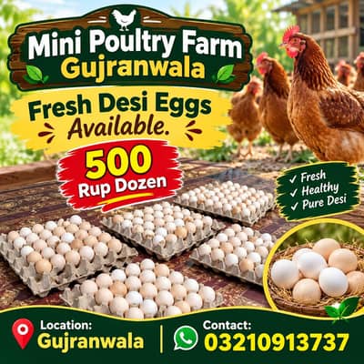 Fresh Desi Eggs