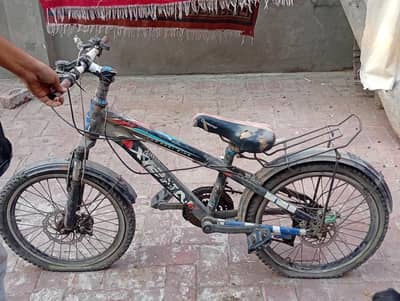 imported cycle best for restoration