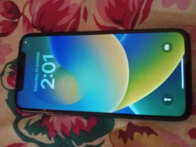 Apple iPhone X