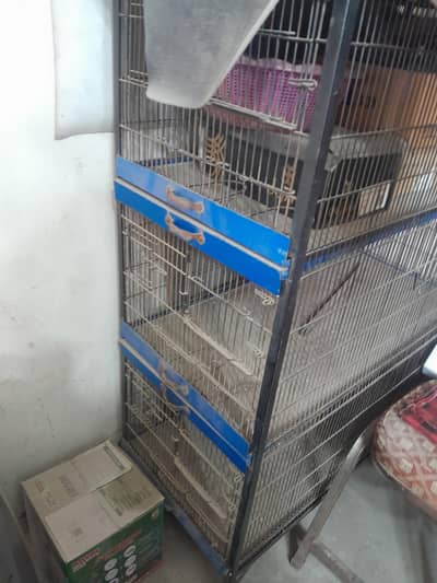 Cage For Parrots