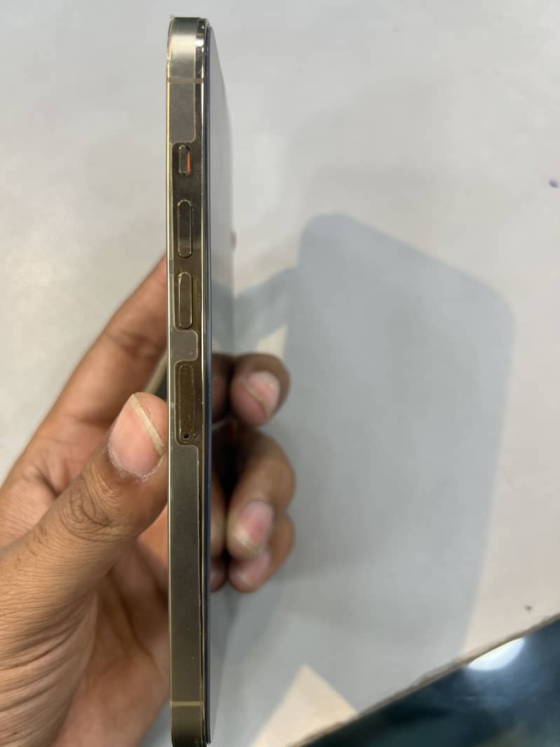 Apple iPhone 13 Pro Max 1