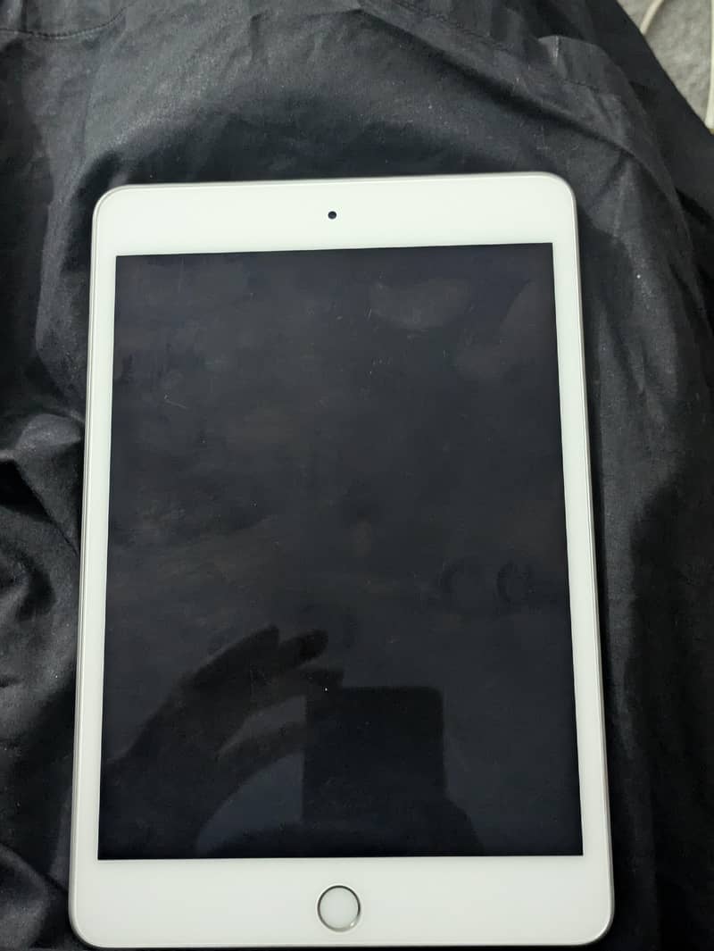 ipad mini 5 0
