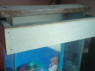 aquarium