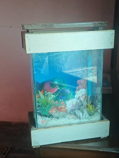 aquarium