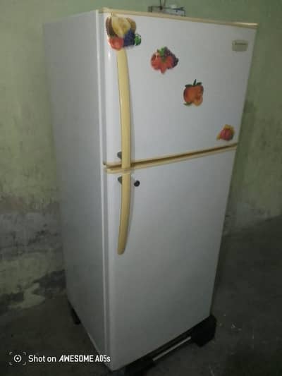 Kelvinator Paltinum Fridge for sale medium size