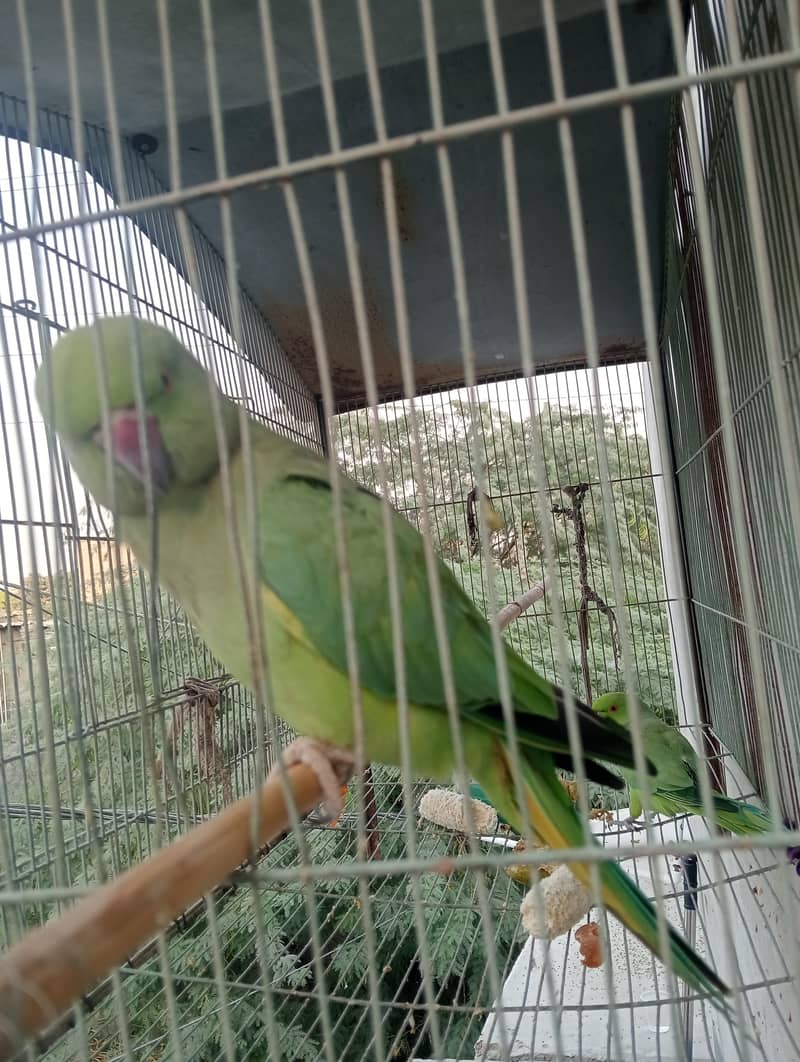 nar aur mada 7