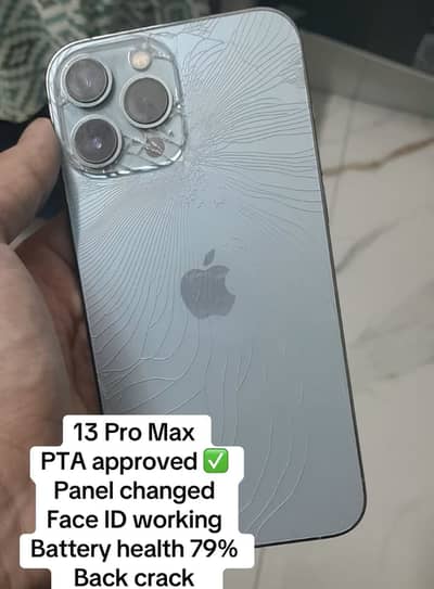 Apple iPhone 13 Pro Max