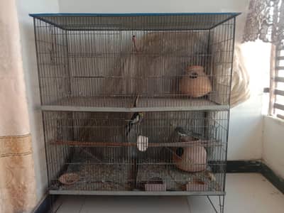 Birds Cage - 2 to 4 Partitions Neet and Clean with 4 feed cup