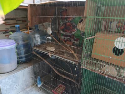 4 cage sale with silver dove pair