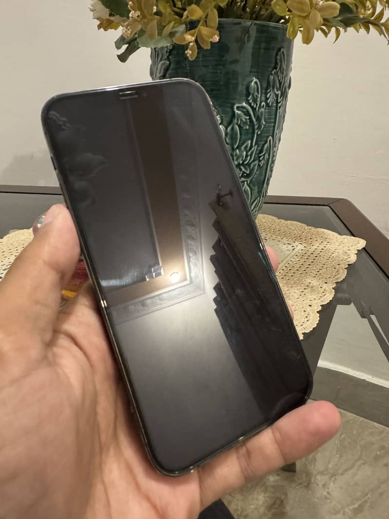 Apple iPhone 12 Pro 1