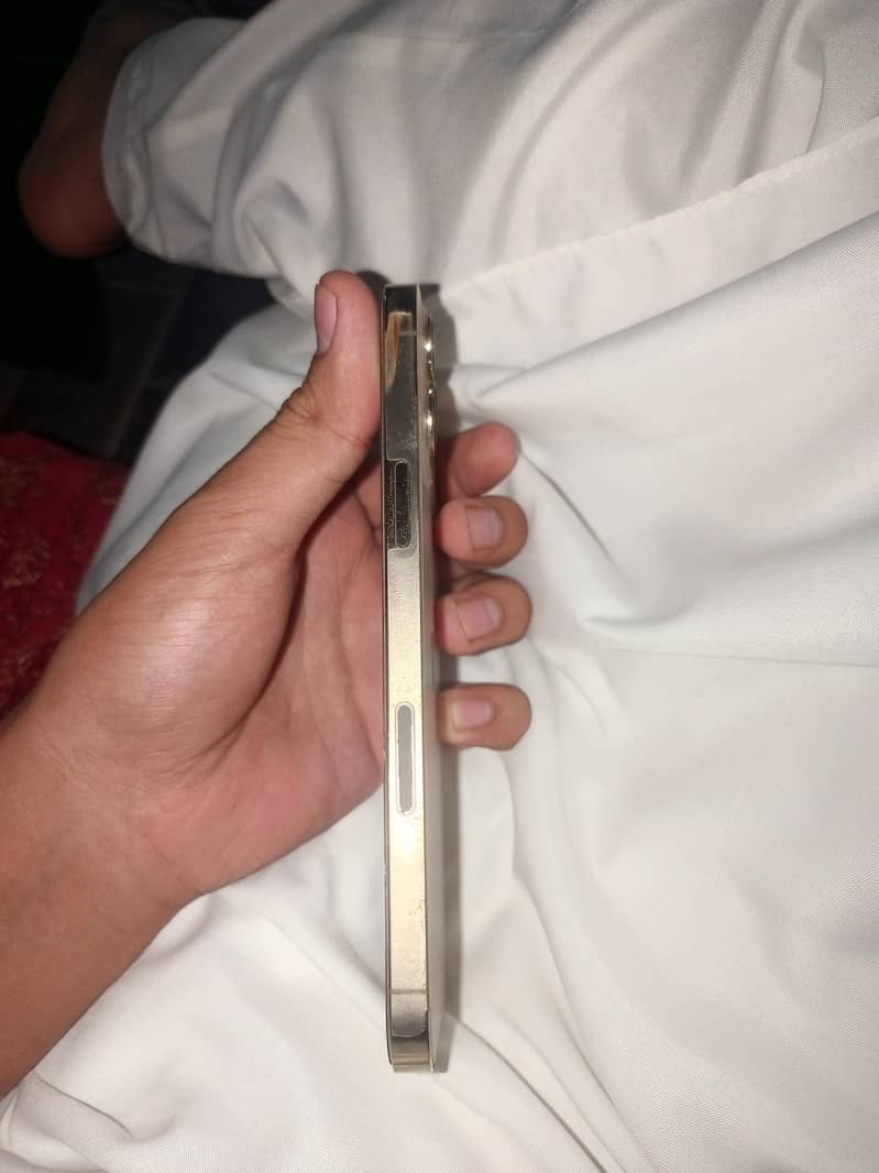 Apple iPhone 12 Pro Max 1