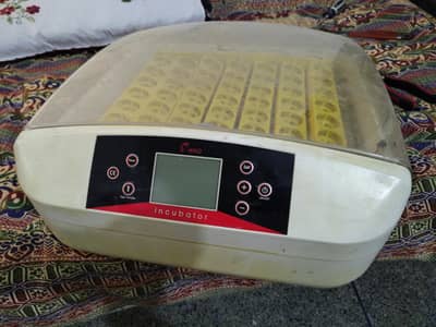 Egg Incubator 56 eggs (HHD)