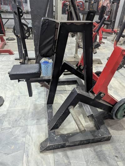 seated chest supported T-bar row