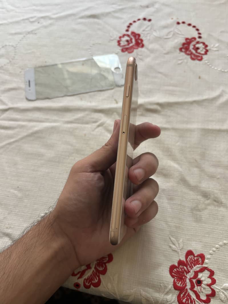 Apple iPhone 8 Plus 1