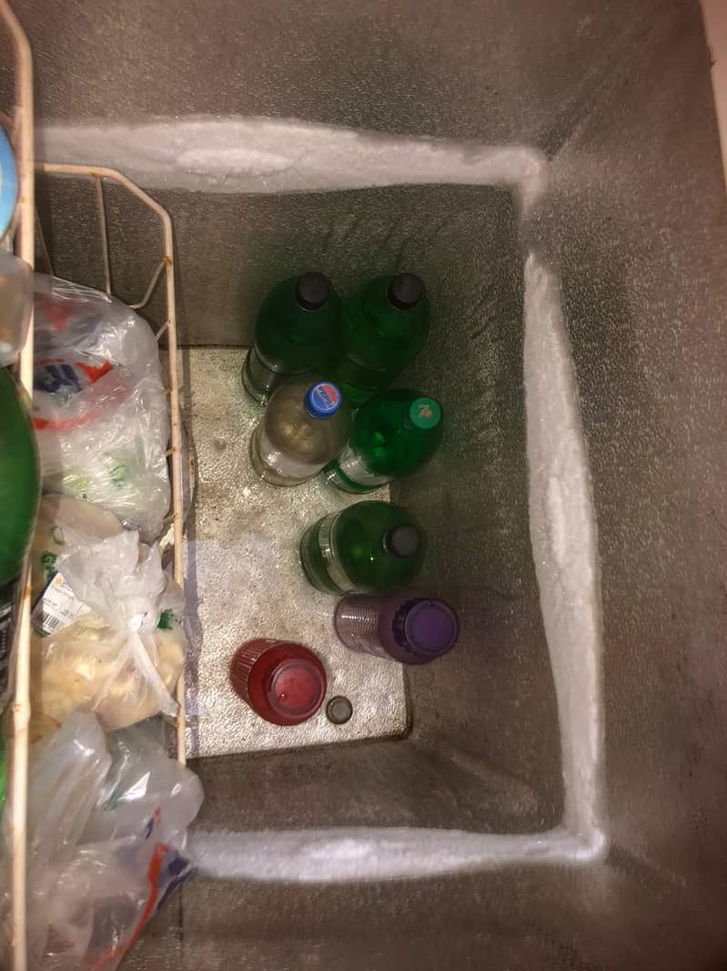 2 door freezer 6