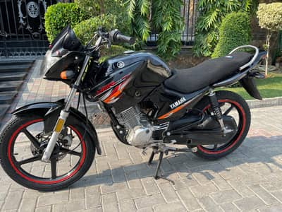 YAMAHA YBR 2020/2021 (0322-3276769)