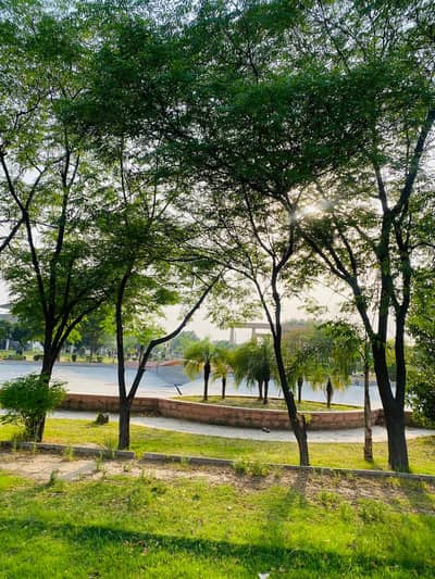 Very Reasonable Price Near Pine Avenue Lake City