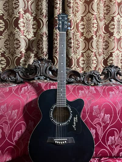 IRIN BIGGNER GUITAR for SEAL