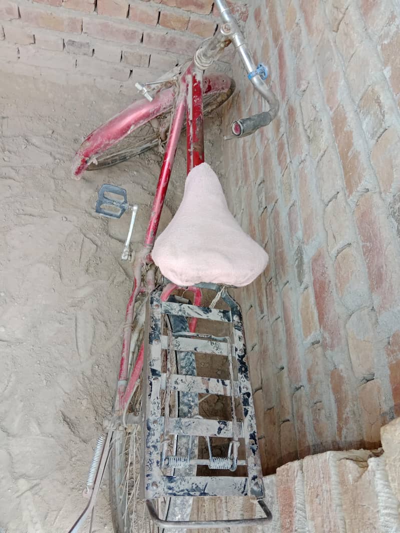 kids cycle 0