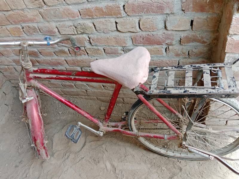 kids cycle 1