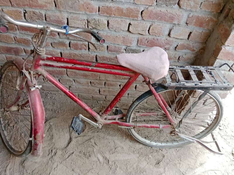 kids cycle 2