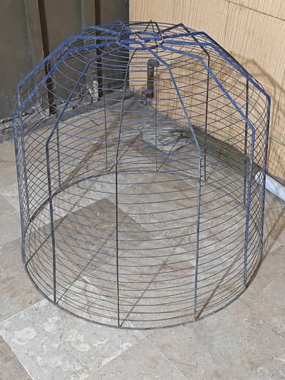 Cage h Tokra