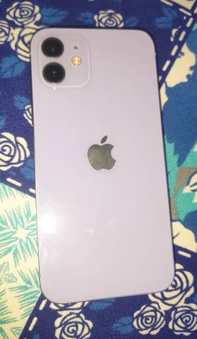 Apple iPhone 12