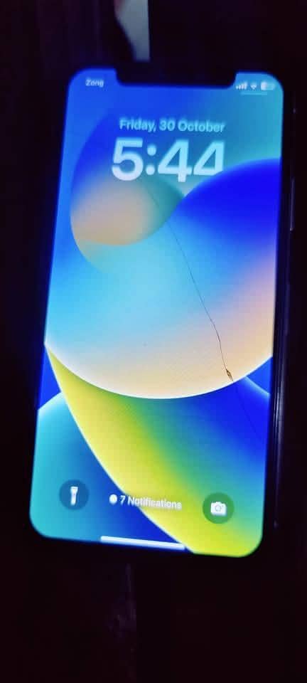 Apple iPhone X 1