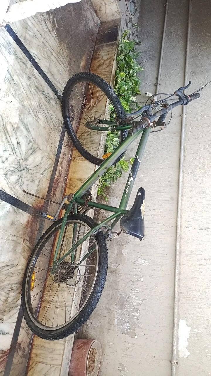 cycle 1