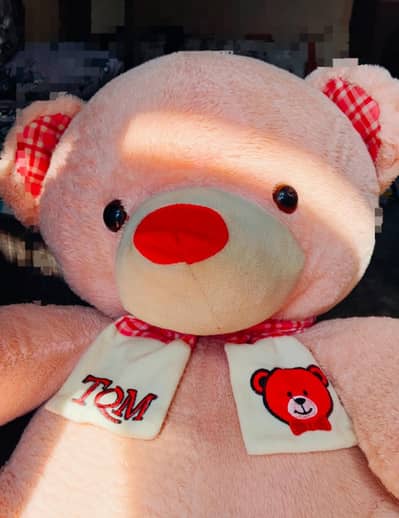 Light Pink Teddy Bear For Sale